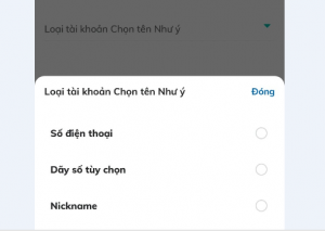 Chọn loại TK chọn tên như ý Bidv